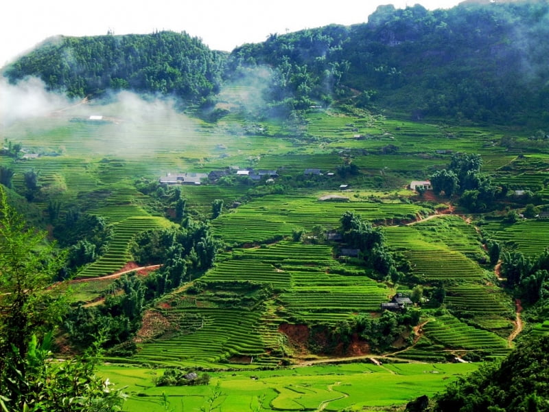 Kinh nghiệm du lịch Mai Châu