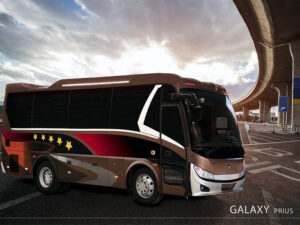 Xe Prius Limousine 20 ghế